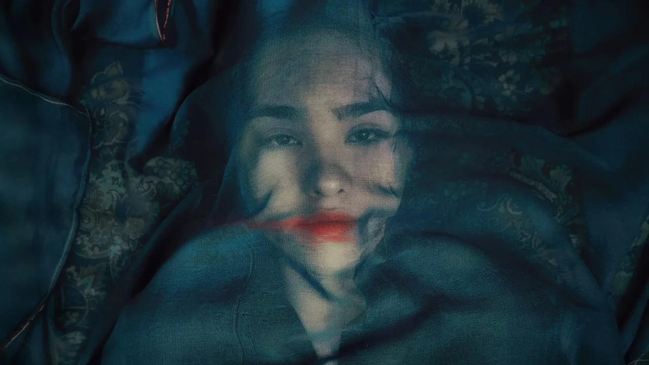 Image du film A Fox Under a Pink Moon - FIFDH 2026