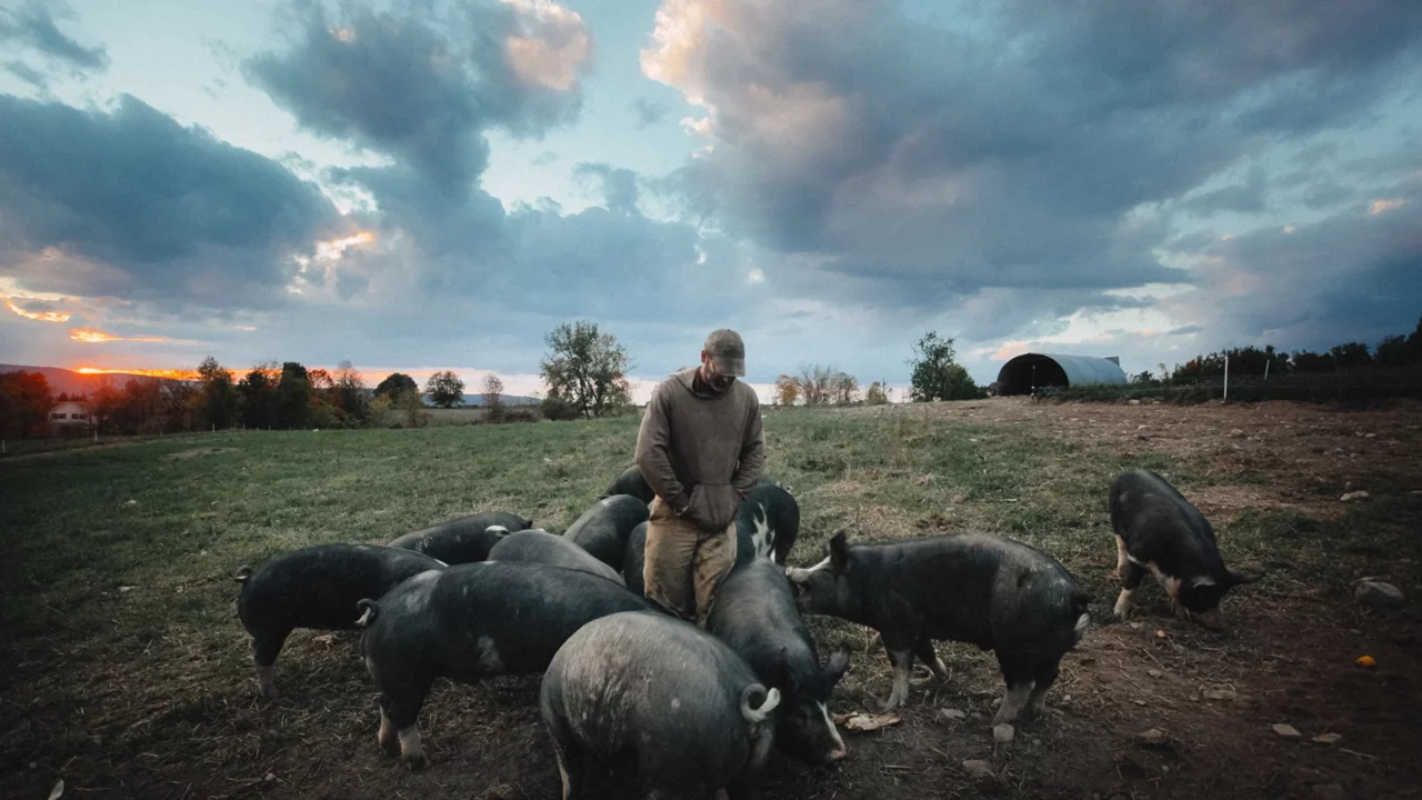 Image du film The Last Pig - FIFDH 2026