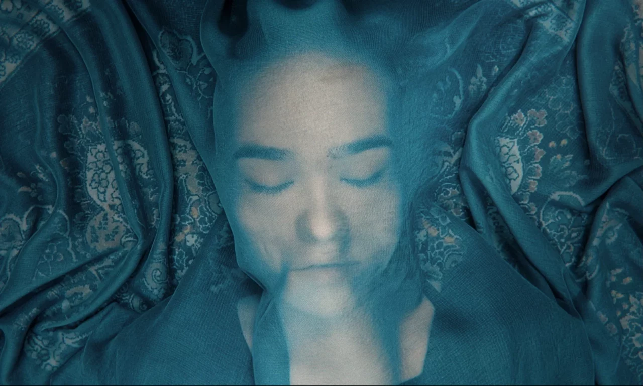 A Fox Under a Pink Moon FIFDH pour les Écoles 2026