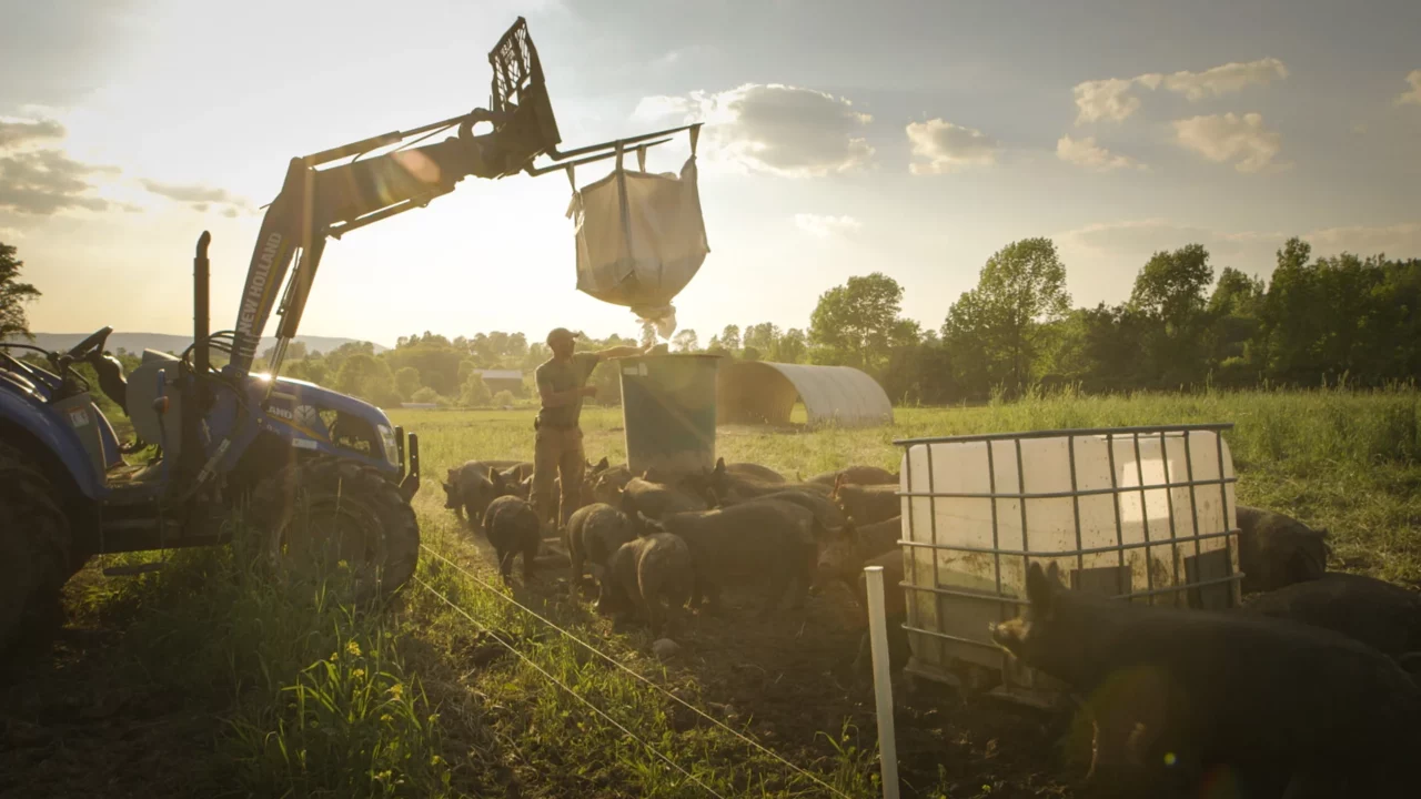 Image du forum La viande dans la crise du vivant - FIFDH 2026