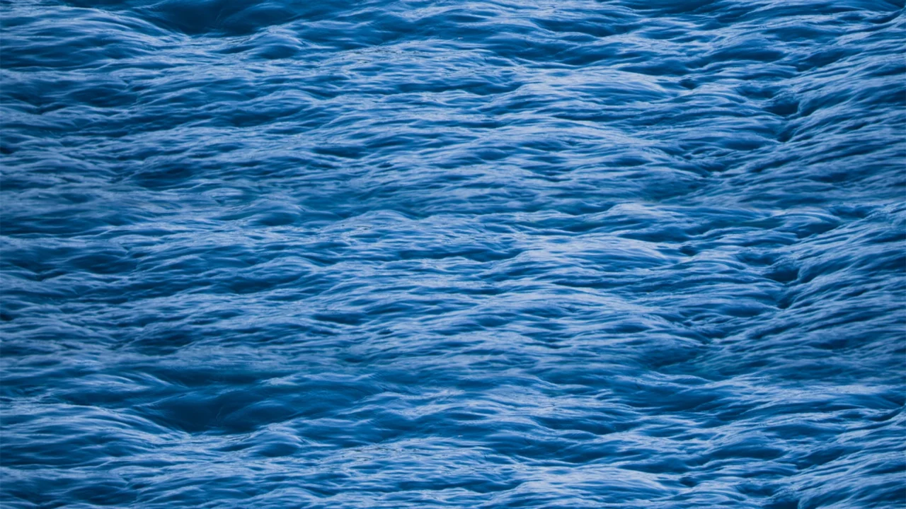 Image du forum La géopolitique de l’eau à l’ère de l’IA  - FIFDH 2026