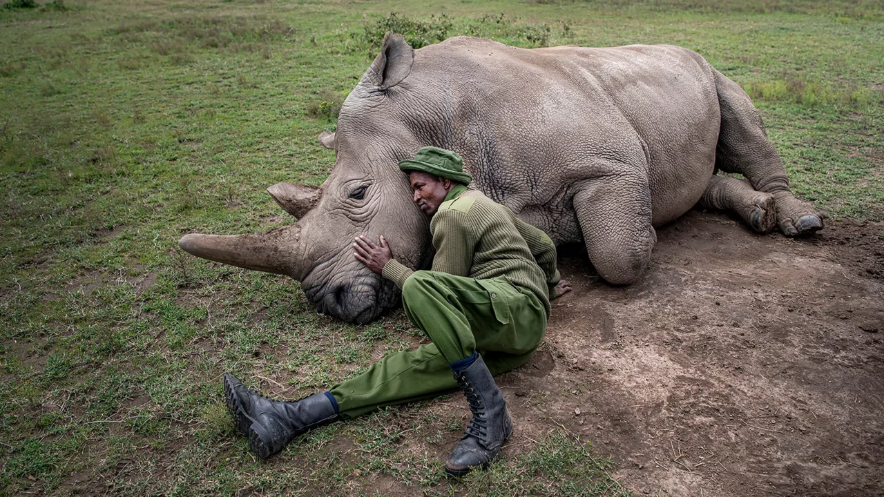 Image du forum Revenir au sauvage pour sauver l'humain ? - FIFDH 2026